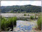 foto Lago di Fimon